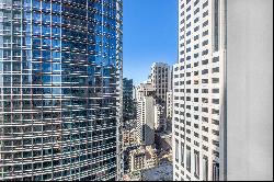  Skyline Views and Downtown Location 