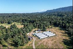 Deep Bay/Comox Valley Farm