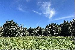 Deep Bay/Comox Valley Farm