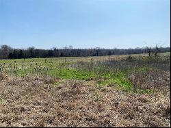 23+/- Acres Oasis Drive