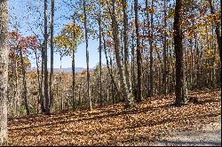 Excellent Views From This Site With Mature Hardwoods