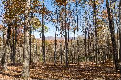 Excellent Views From This Site With Mature Hardwoods