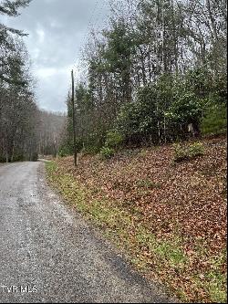 4 Valley View Drive, Butler TN 37640