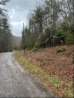 Lot 4 Valley View Drive, Butler TN 37640