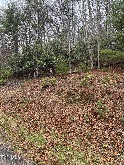 Lot 4 Valley View Drive, Butler TN 37640