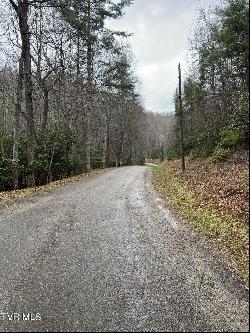 Lot 4 Valley View Drive, Butler TN 37640