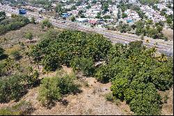 Land on the road to Colima - Manzanillo.