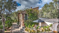 Renovated stone finca in S'Arraco in the southwest of Mallorca