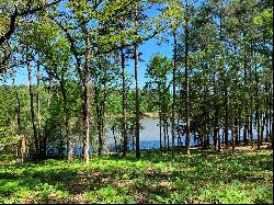 22.38 WF Acres on Caney Bay with Spring Fed Creek