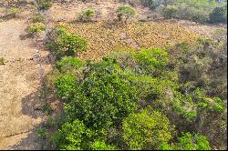 Nicoya Blue Zone Land