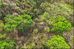 Nicoya Blue Zone Land