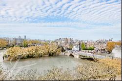 Amazing penthouse with terraces and stunning views of the Seine