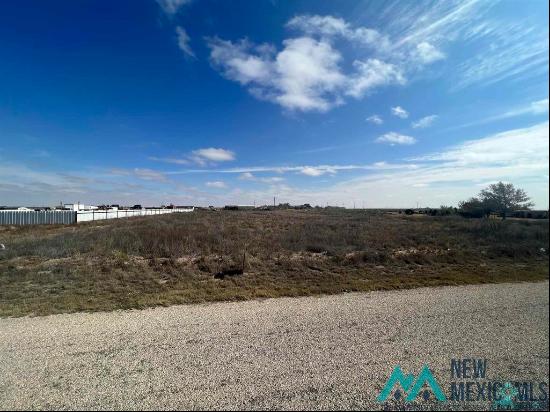 TBD N Calle Alto Street, Hobbs NM 88242