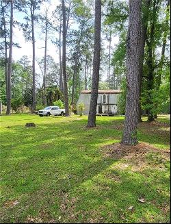 10298 John Hollis Road, Hammond LA 70401