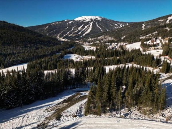 Sun Peaks Land