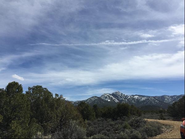 Ranchos de Taos Land