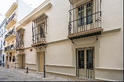 Sevillian house with patio near the Museum of Fine Arts