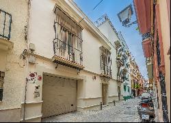 Sevillian house with patio near the Museum of Fine Arts