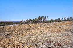 Exceptional Panoramic Views of Pikes Peak