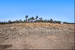 Exceptional Panoramic Views of Pikes Peak