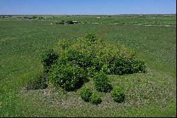 40+/- acres Hay Farm, Atascosa County , Karnes City , TX 78118