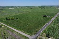 40+/- acres Hay Farm, Atascosa County , Karnes City , TX 78118