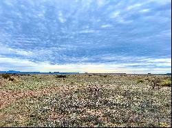 Tract 3 Ranch Road 2810, Marfa, TX 79843