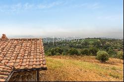 Panoramic stone farmhouse with olive groves and sea views