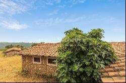 Panoramic stone farmhouse with olive groves and sea views