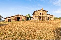 Panoramic stone farmhouse with olive groves and sea views