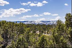Amazing 2 Acre Homesite With a Private Driveway