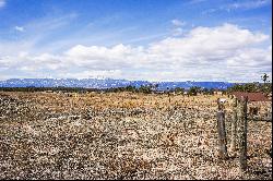 Over 7.5 acres and jaw dropping, Pikes Peak views  located in Black Forest