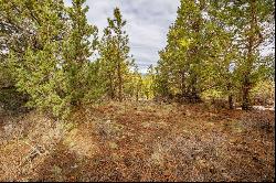 1634 NW Remarkable Drive #Lot 28 Bend, OR 97703