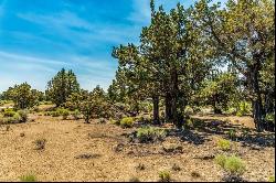 23103 Switchback Court #Lot 95 Bend, OR 97701