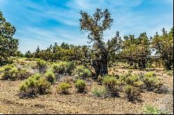 23103 Switchback Court #Lot 95 Bend, OR 97701