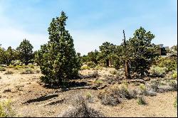 23103 Switchback Court #Lot 95 Bend, OR 97701