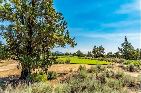 23103 Switchback Court #Lot 95 Bend, OR 97701