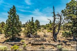 23103 Switchback Court #Lot 95 Bend, OR 97701