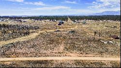 Lot 4 Forest Heights Circle, Colorado Springs, CO, 80908