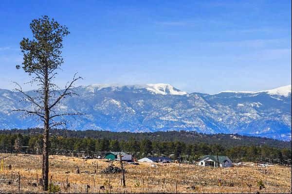 Colorado Springs