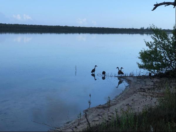 Crooked Island Land