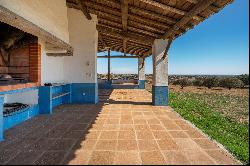 Farm, 5 bedrooms, for Sale