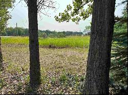 Lot 2 Us 31 N, Eastport MI 49627