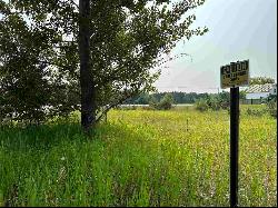 Lot 2 Us 31 N, Eastport MI 49627