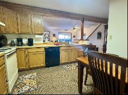 103 Shavano Drive Unit D3, Gunnison CO 81230