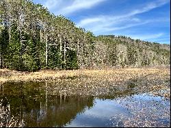 Cabin on 133 Acres in West Faiirlee