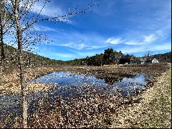 Cabin on 133 Acres in West Faiirlee