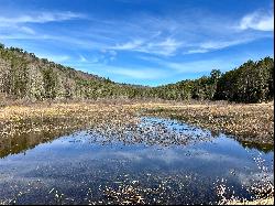 Cabin on 133 Acres in West Faiirlee