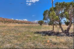 Spanish Valley Acreage in Moab Utah