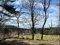 133 Acres with cabin in West Fairlee